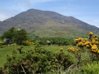 Berglandschaft in den Slieve Miskish Mountains - Ring of Beara, Co. Cork